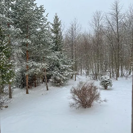 Slnecny 2-izbovy Pod Lesom, Dolny Smokovec Vysoké Tatry